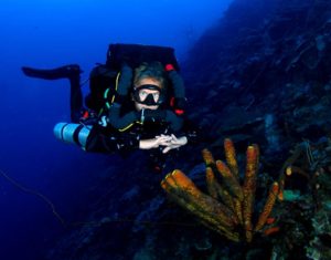 CCR Technical Cross-Overs